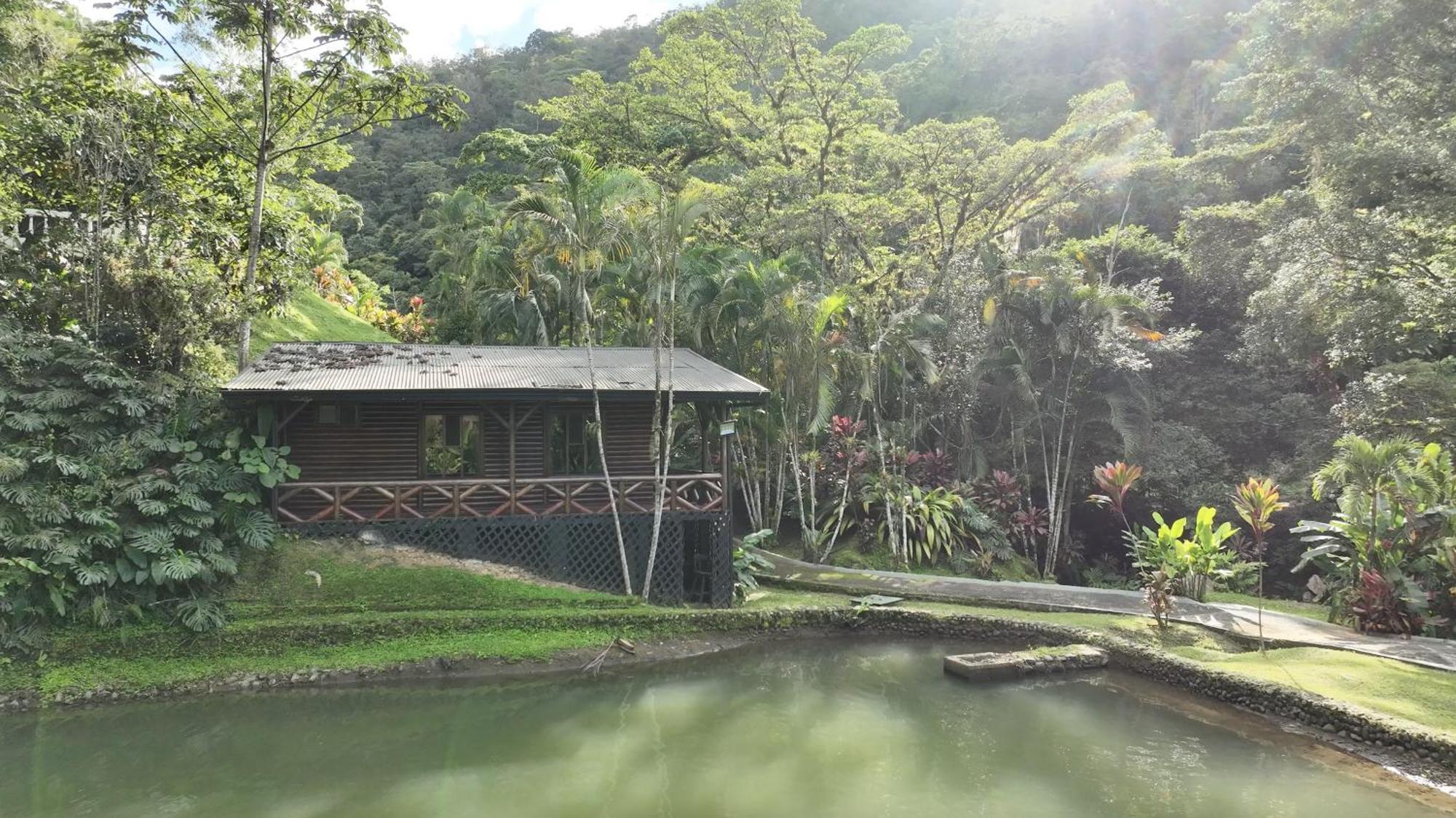 Rio Perlas Thermal Resort & Spa Cartago Dış mekan fotoğraf