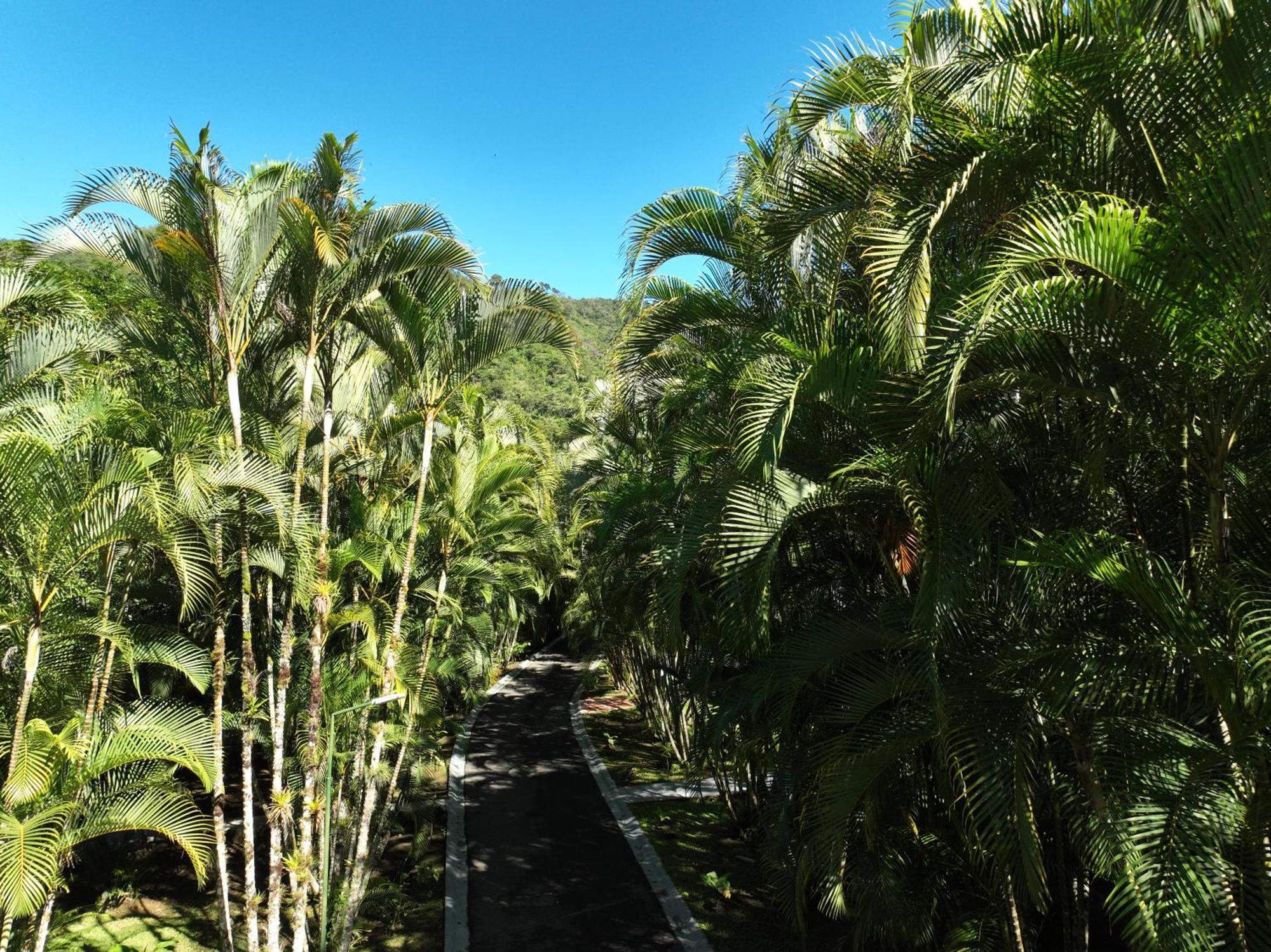 Rio Perlas Thermal Resort & Spa Cartago Dış mekan fotoğraf